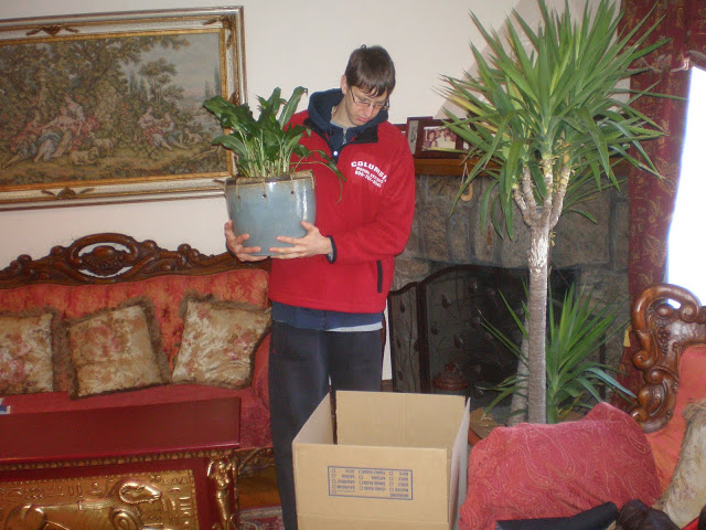 Professional Moving Labor Help