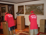 meet our movers